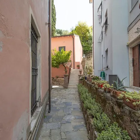 Apartman Oasi *